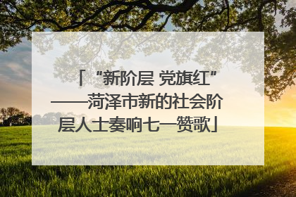“新阶层 党旗红”——菏泽市新的社会阶层人士奏响七一赞歌